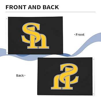 福岡ソフトバンクホークス 球団旗 Amazon.co.jp: 福岡ソフトバンクホークス 旗 野球の旗 応援 野球